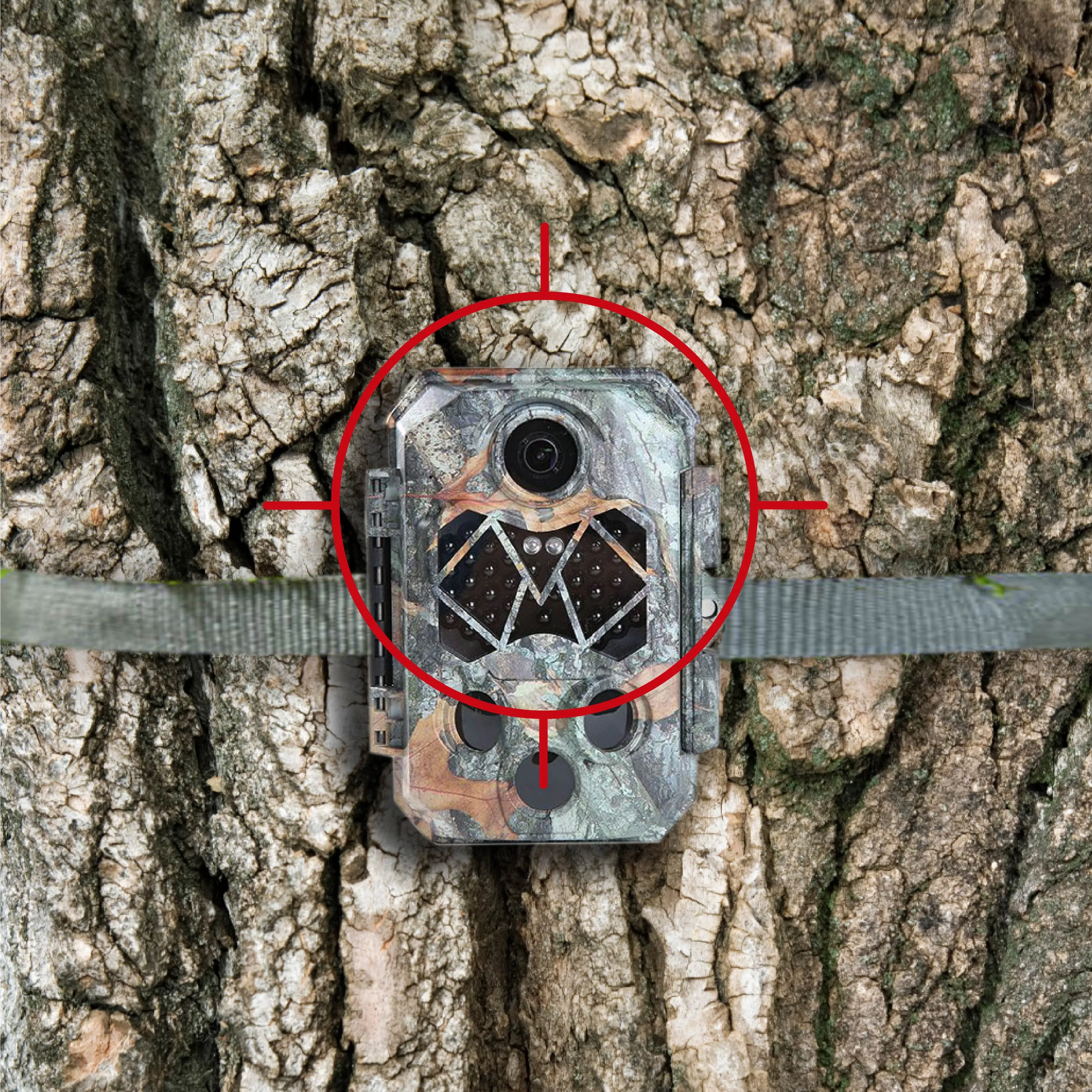4K Black Flash Trail Camera For Wildlife Monitoring