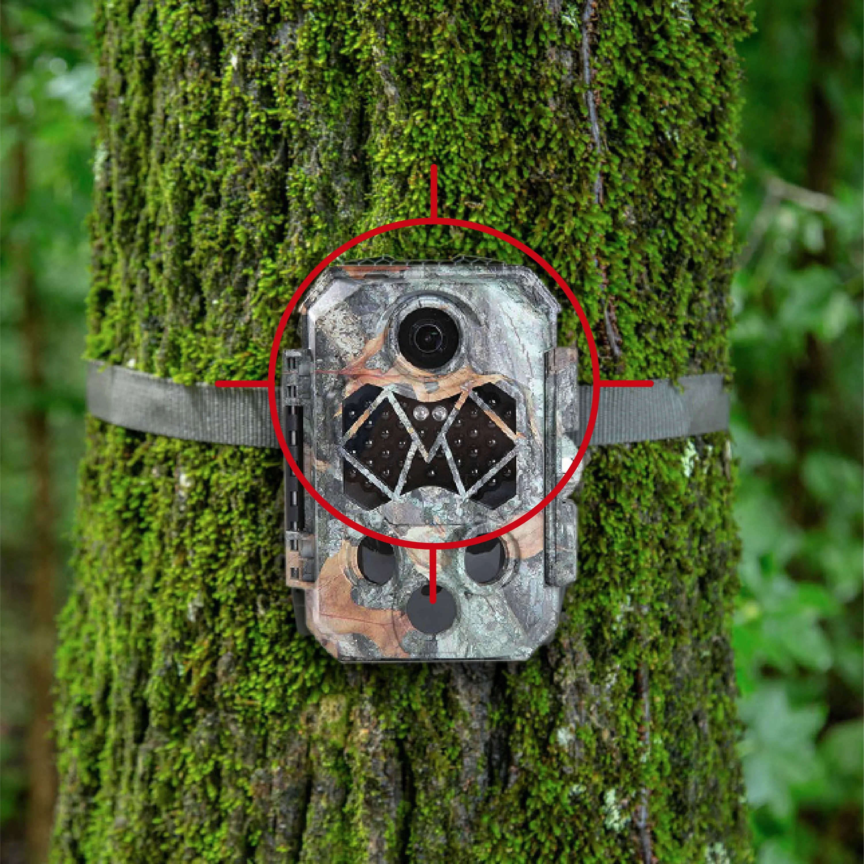 4K Black Flash Trail Camera For Wildlife Monitoring