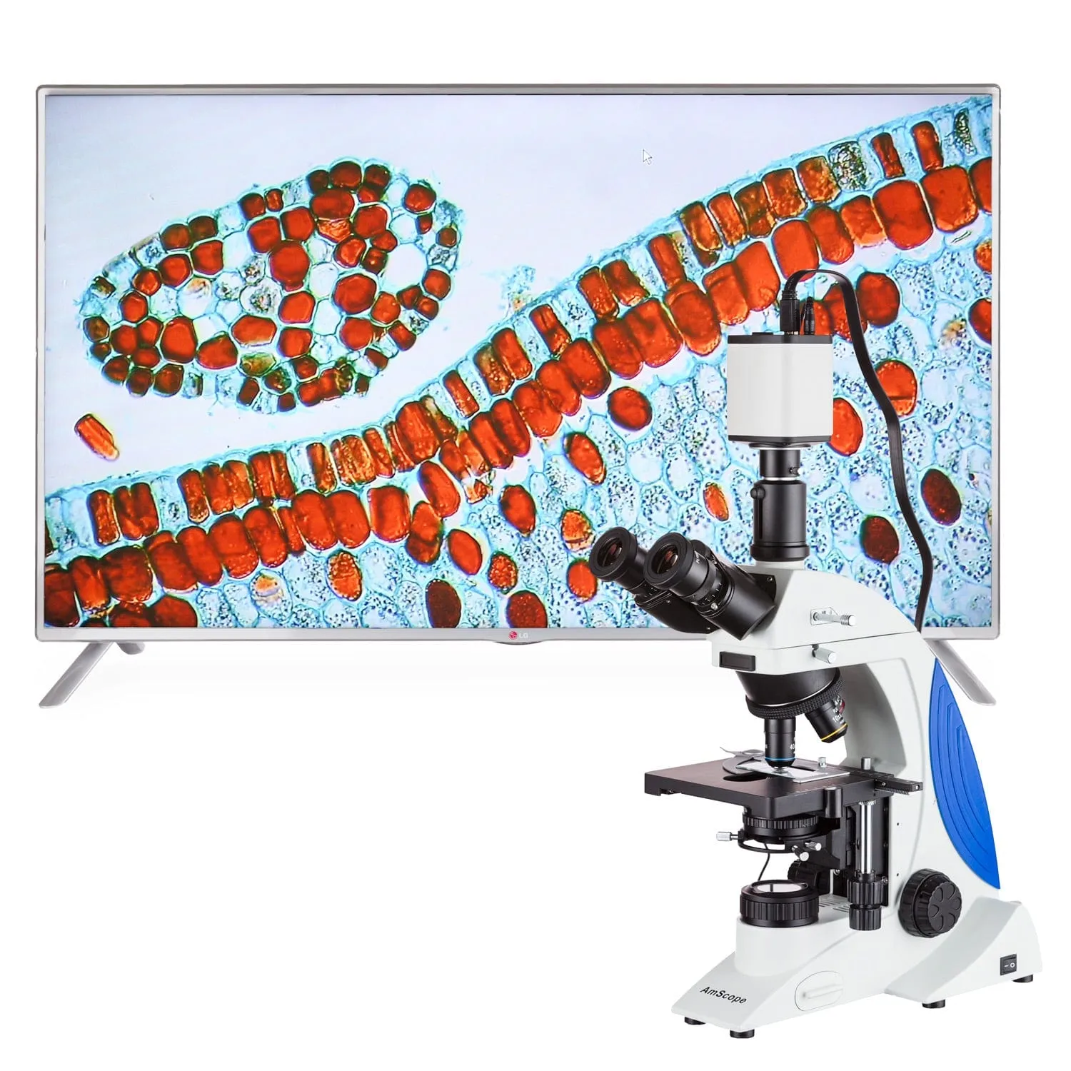 AmScope HD Series 1080p 15fps 5.0MP HDMI Color CMOS C-mount Microscope Camera for Stand-alone and PC Imaging