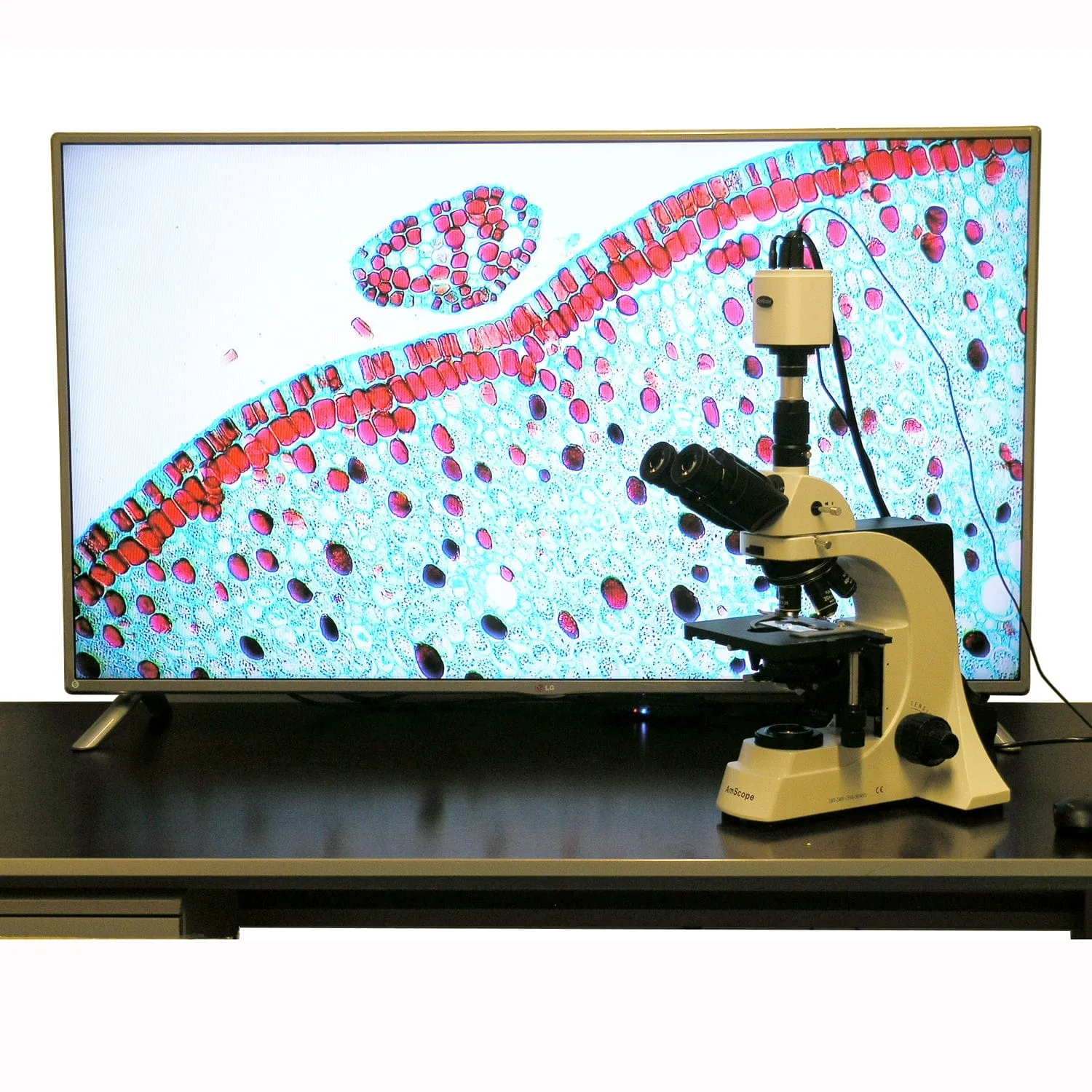 AmScope HD Series 1080p 60fps 2.0MP HDMI High-sensitivity Color CMOS C-mount Microscope Camera for Stand-alone and PC Imaging