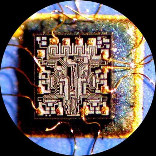 AmScope ZM-1 Series Ultimate Zoom Trinocular Stereo Microscope 3.35X-45X Magnification on Pillar Stand with Fiber Optical Ring Light