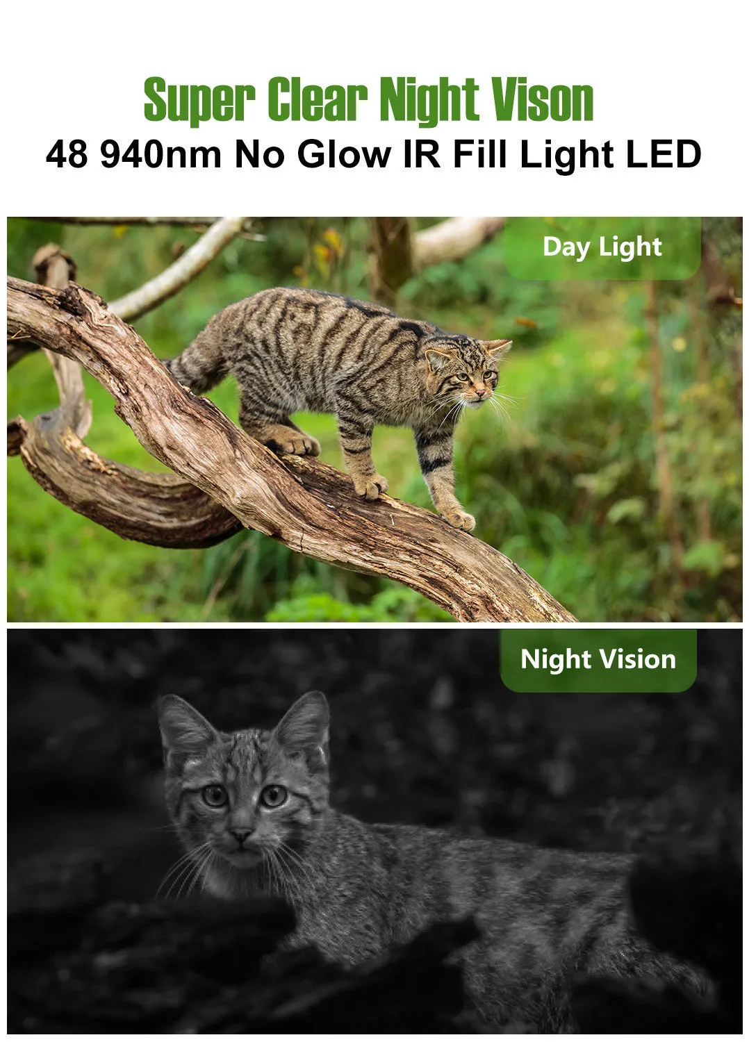 APPRO Camera trap for Capturing wild animal P16 16MP 1080P