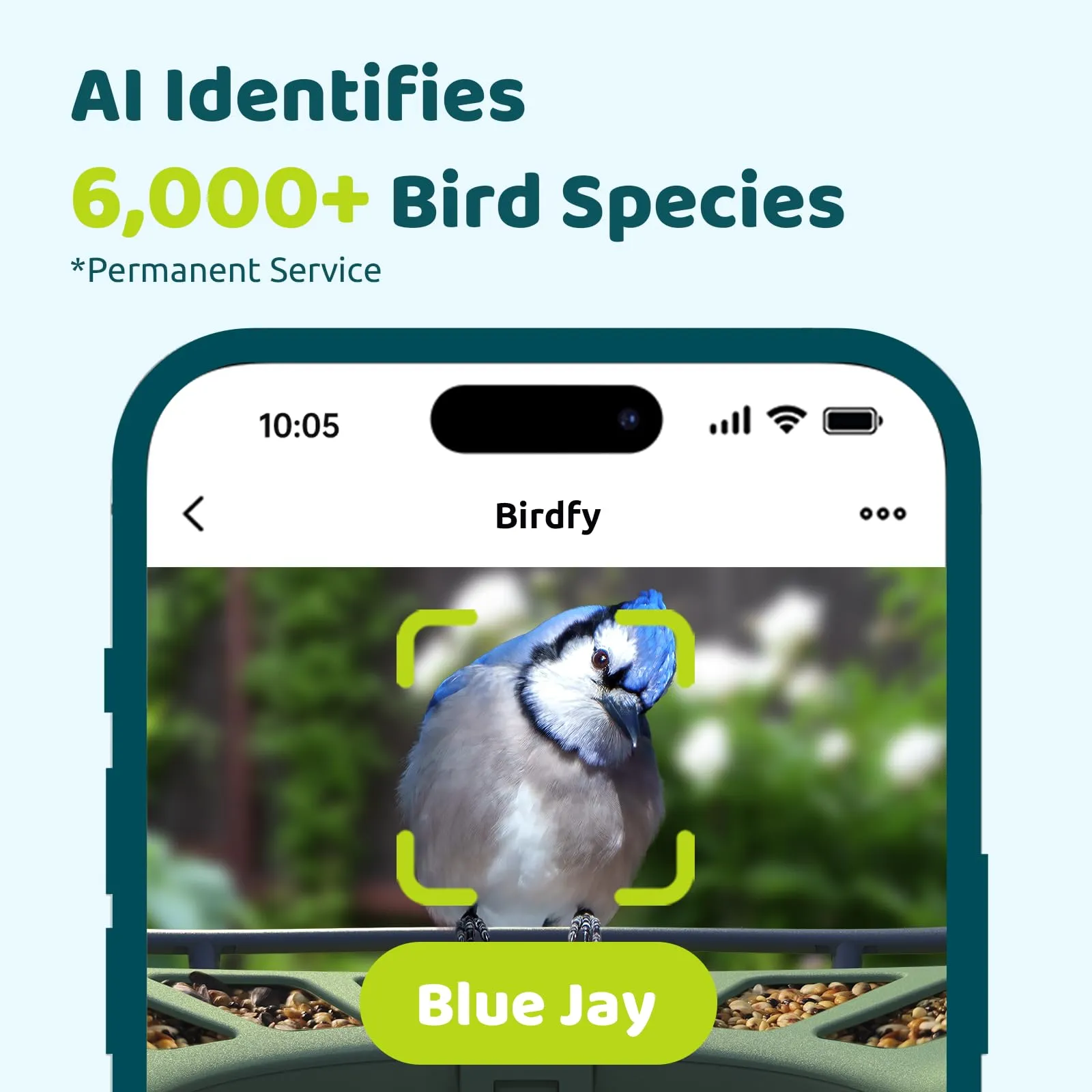 Birdfy 2 Smart Bird Feeder with Camera, Dual-Lens, Solar-Powered, Wireless Birdwatching, Permanent AI Identify 6000  Bird Species & Motion Detection, Gift Present