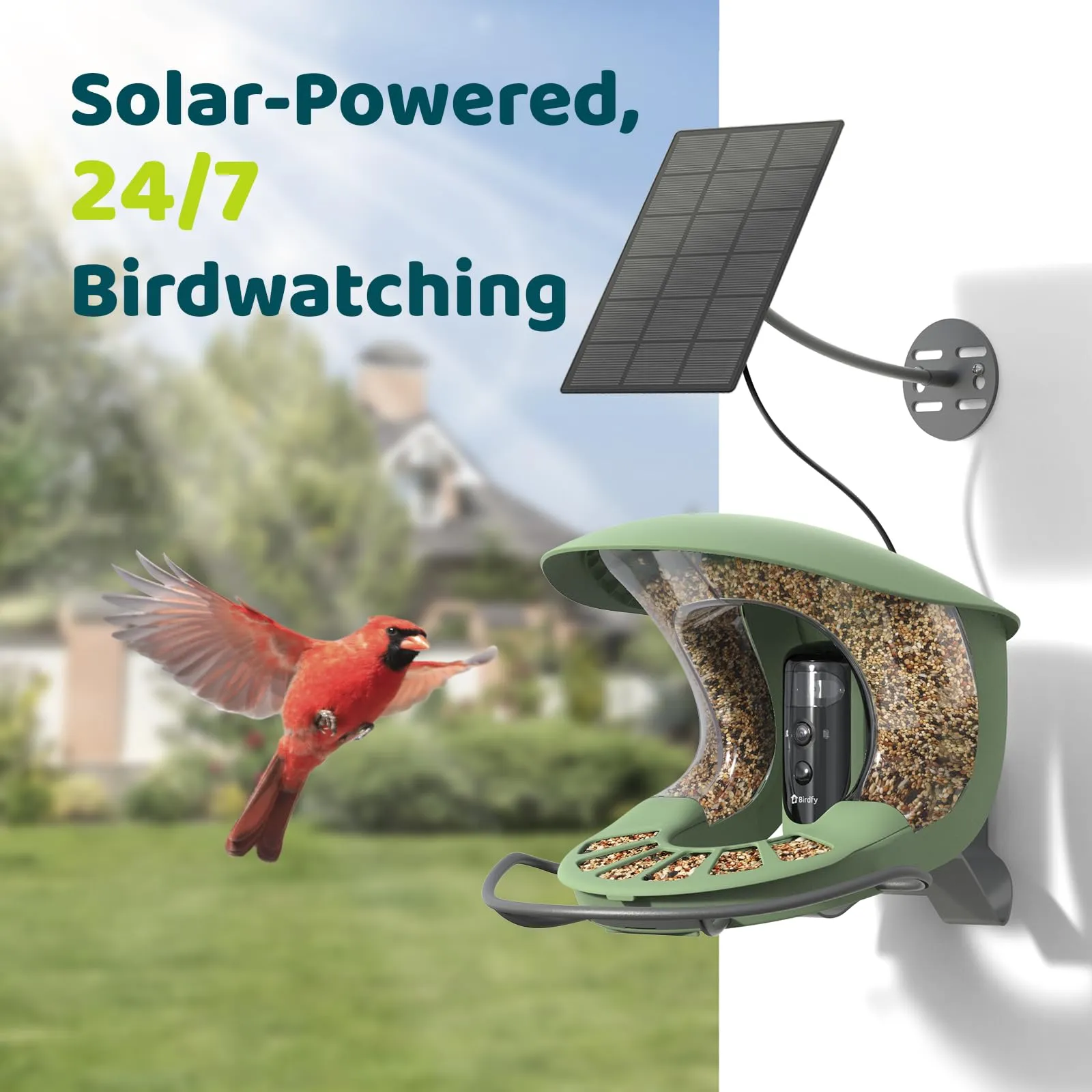 Birdfy 2 Smart Bird Feeder with Camera, Dual-Lens, Solar-Powered, Wireless Birdwatching, Permanent AI Identify 6000  Bird Species & Motion Detection, Gift Present