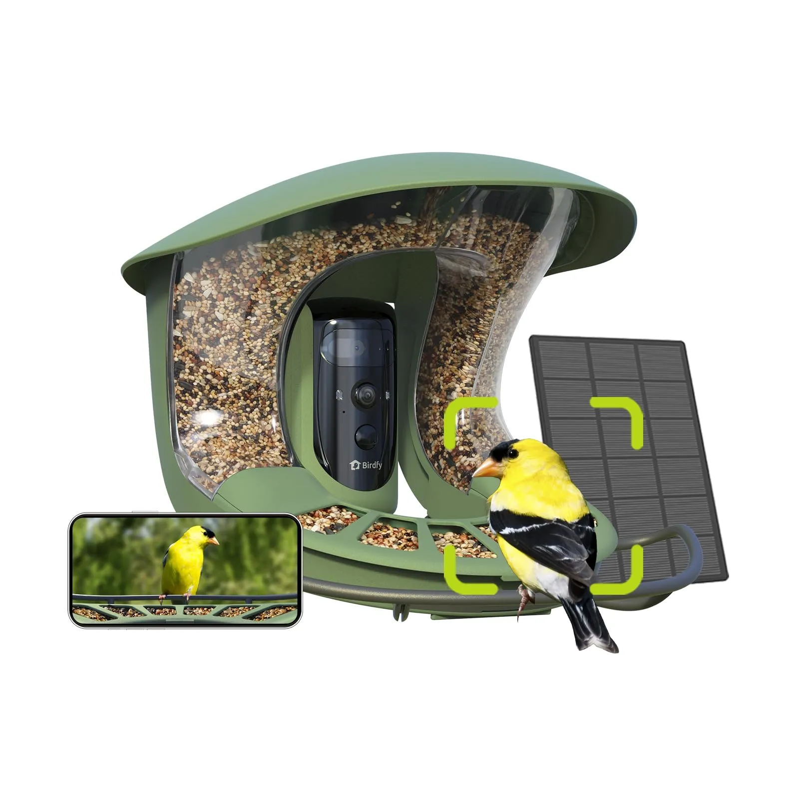 Birdfy 2 Smart Bird Feeder with Camera, Dual-Lens, Solar-Powered, Wireless Birdwatching, Permanent AI Identify 6000  Bird Species & Motion Detection, Gift Present