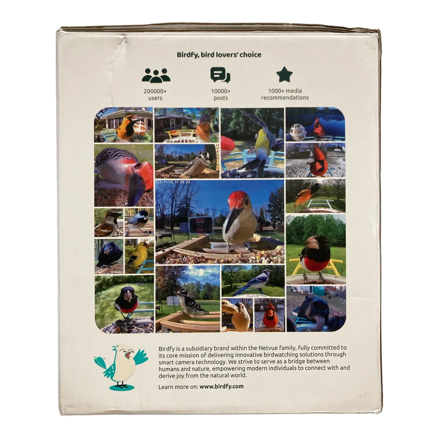 Birdfy Eco-Friendly Bird Feeder with Camera & Solar Power Panel