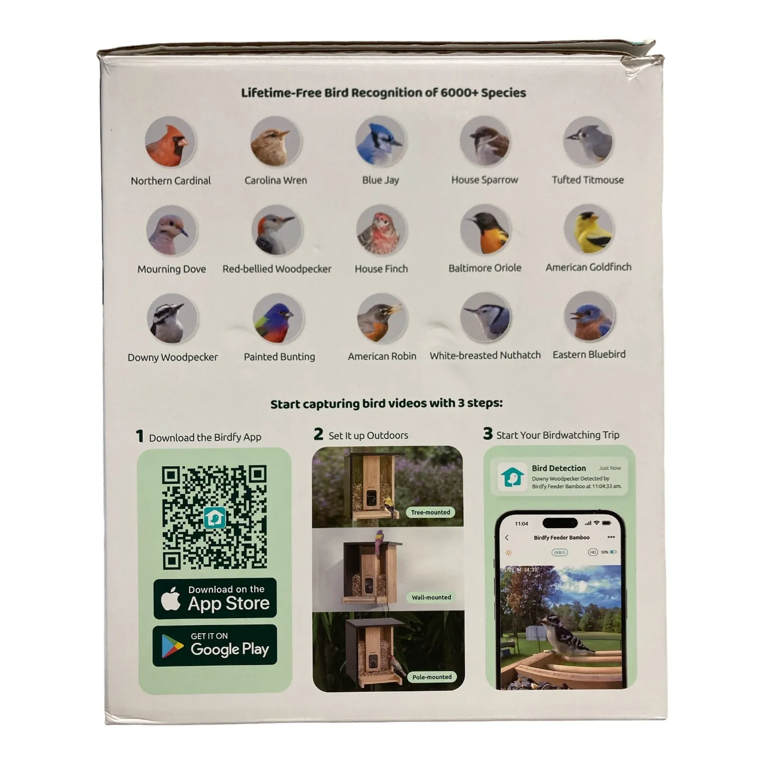 Birdfy Eco-Friendly Bird Feeder with Camera & Solar Power Panel