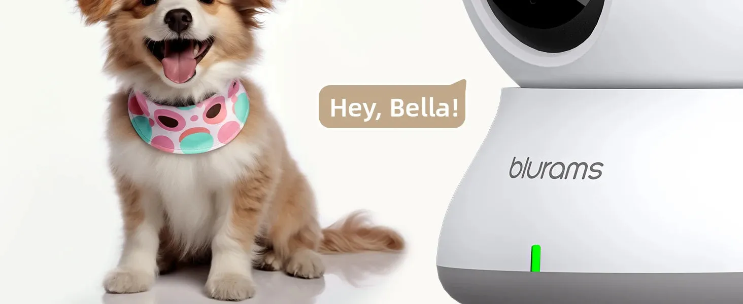 Blurams 2.4GHz WiFi Indoor Camera, 2K, 360° PTZ Pet Dog IP CCTV Camera with Phone App, 2-Way Talk, Night Vision, for Home Securi