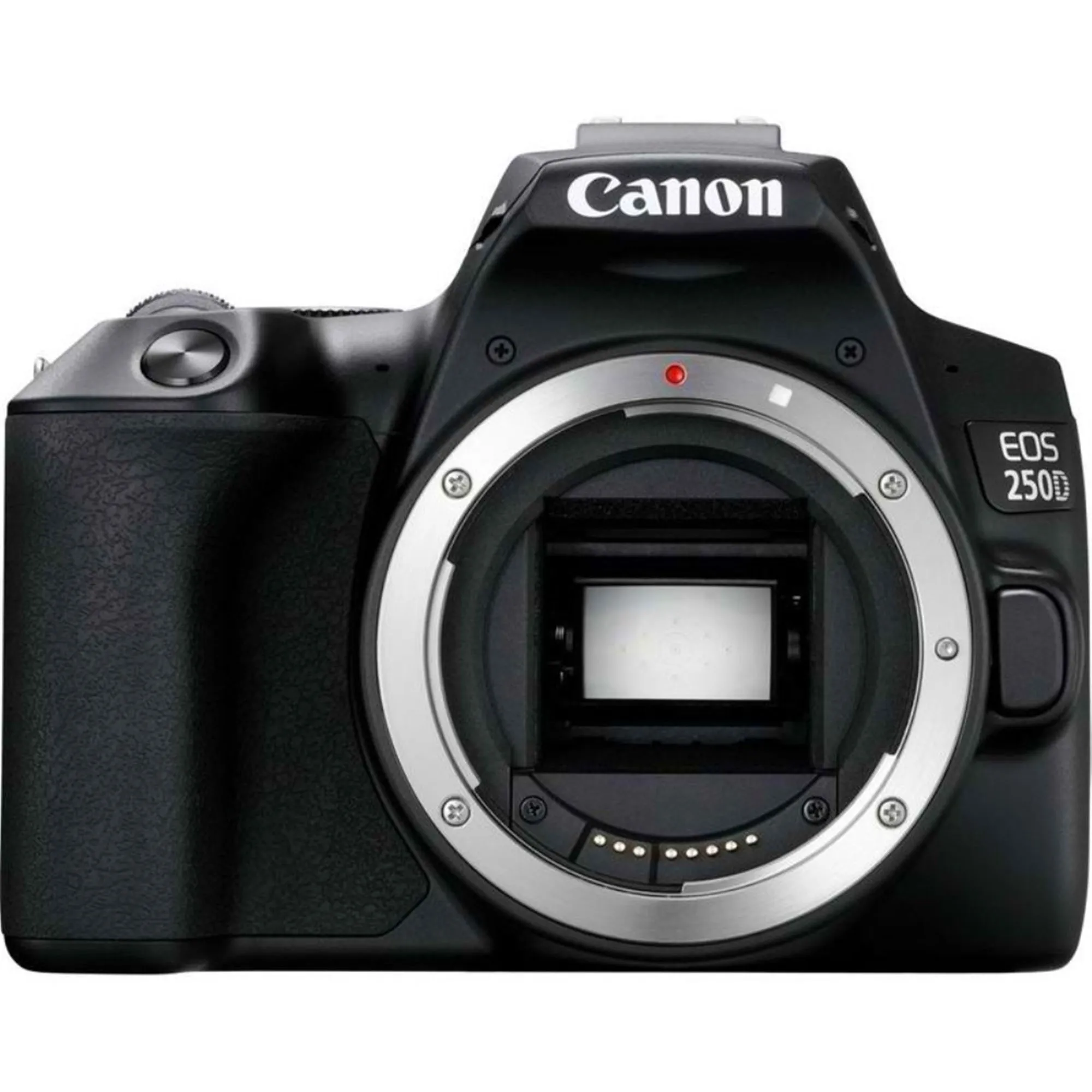 Canon EOS 250D Rebel SL3 24.1MP DSLR Camera   18-55mm & 75-300mm Lens 32GB Kit