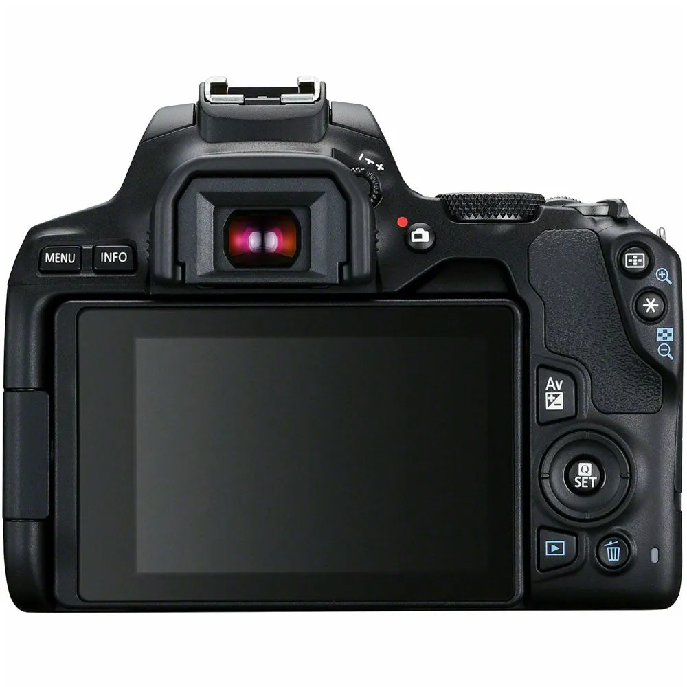 Canon EOS Rebel 250 Digital SLR Camera   18-55mm Lens   EF 50mm f/1.8 STM Lens Kit