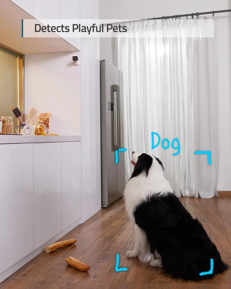 EUFY Security 2K Indoor Cam, Plug-in Security Indoor Camera with Wi-Fi, IP Camera,Human and Pet AI, Night Vision, Two-Way Audio