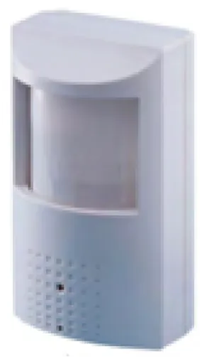MOTION DETECTOR CAMERA