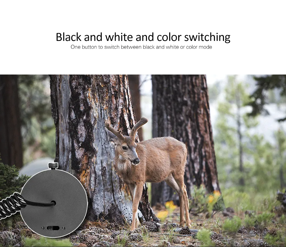 Night Vision Scope Camera