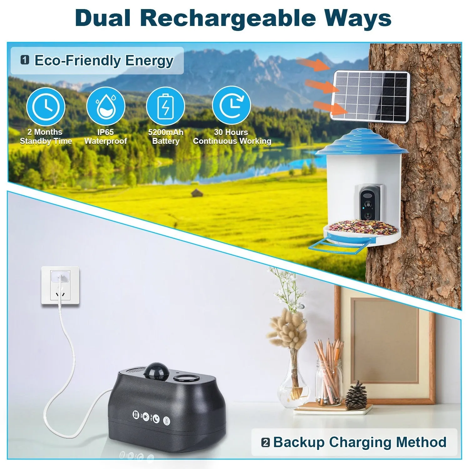 Smart Bird Feeder with Solar Powered Camera 1080P HD AI Identify PIR Motion Auto Capture Video Cloud Card Storage WiFi Connection App Control IP65 Waterproof