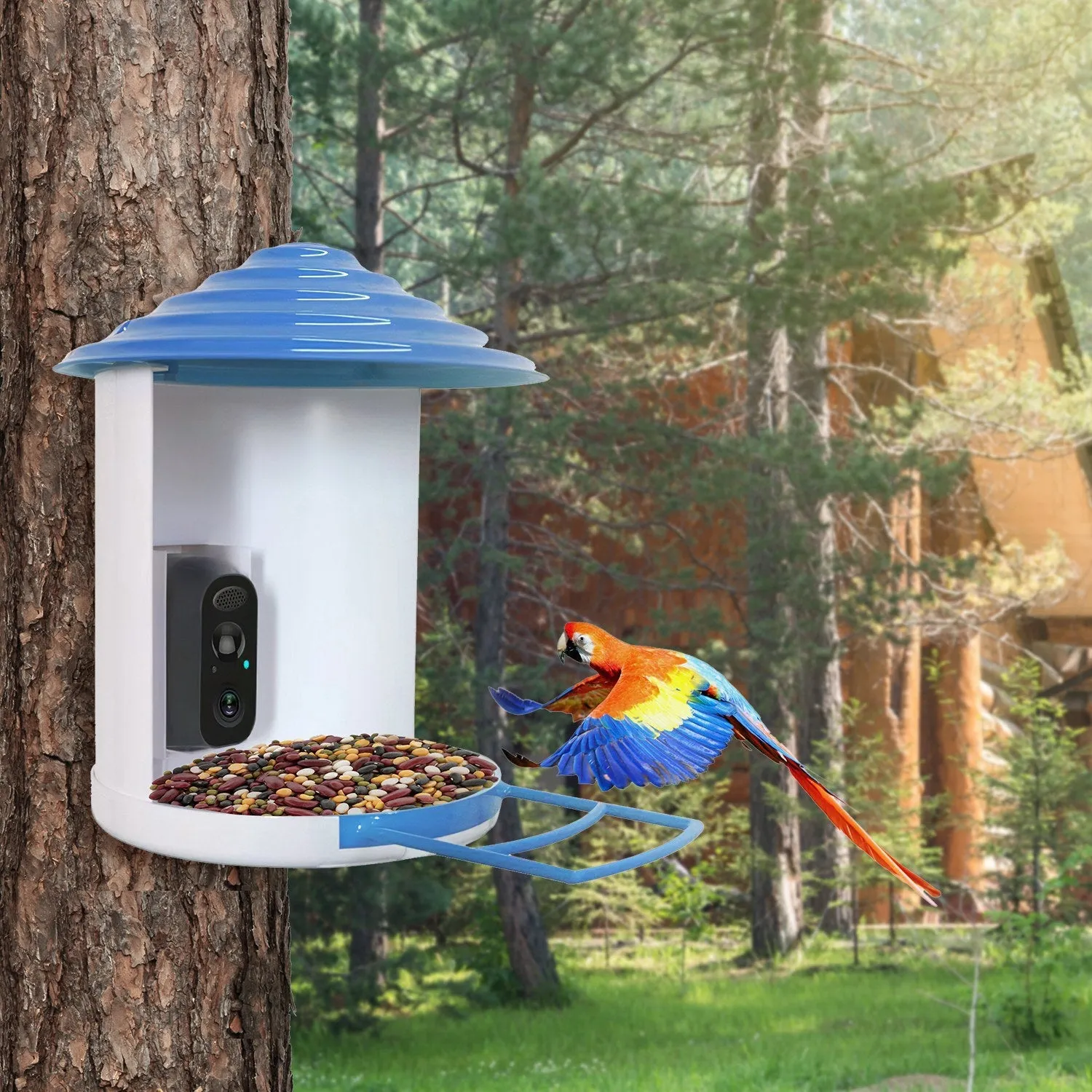 Smart Bird Feeder with Solar Powered Camera 1080P HD AI Identify PIR Motion Auto Capture Video Cloud Card Storage WiFi Connection App Control IP65 Waterproof