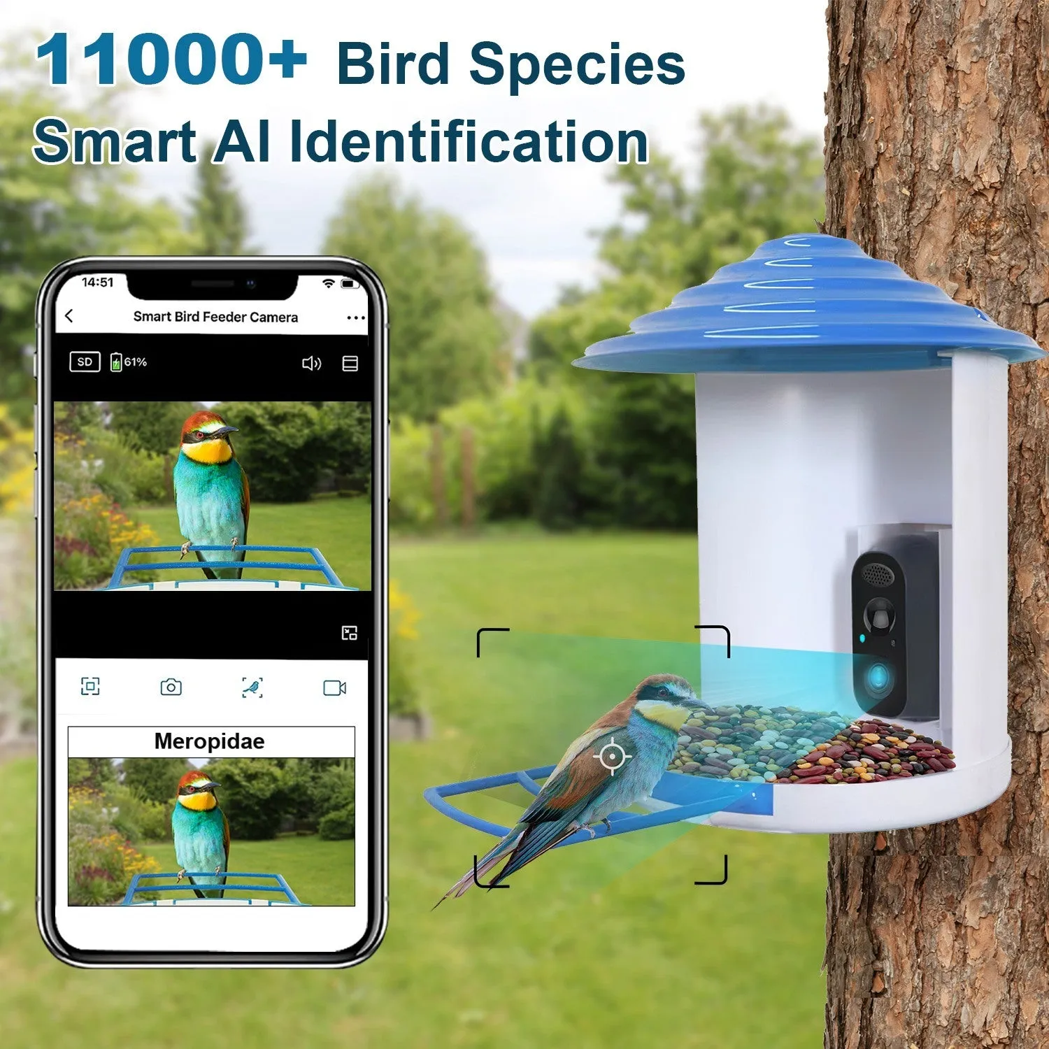 Smart Bird Feeder with Solar Powered Camera 1080P HD AI Identify PIR Motion Auto Capture Video Cloud Card Storage WiFi Connection App Control IP65 Waterproof