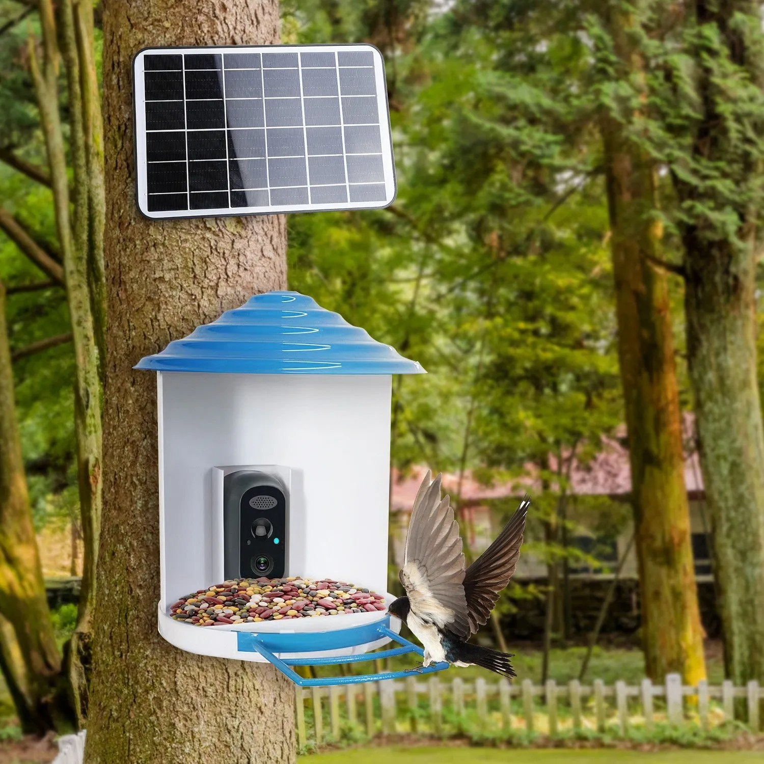 Smart Bird Feeder with Solar Powered Camera 1080P HD AI Identify PIR Motion Auto Capture Video Cloud Card Storage WiFi Connection App Control IP65 Waterproof