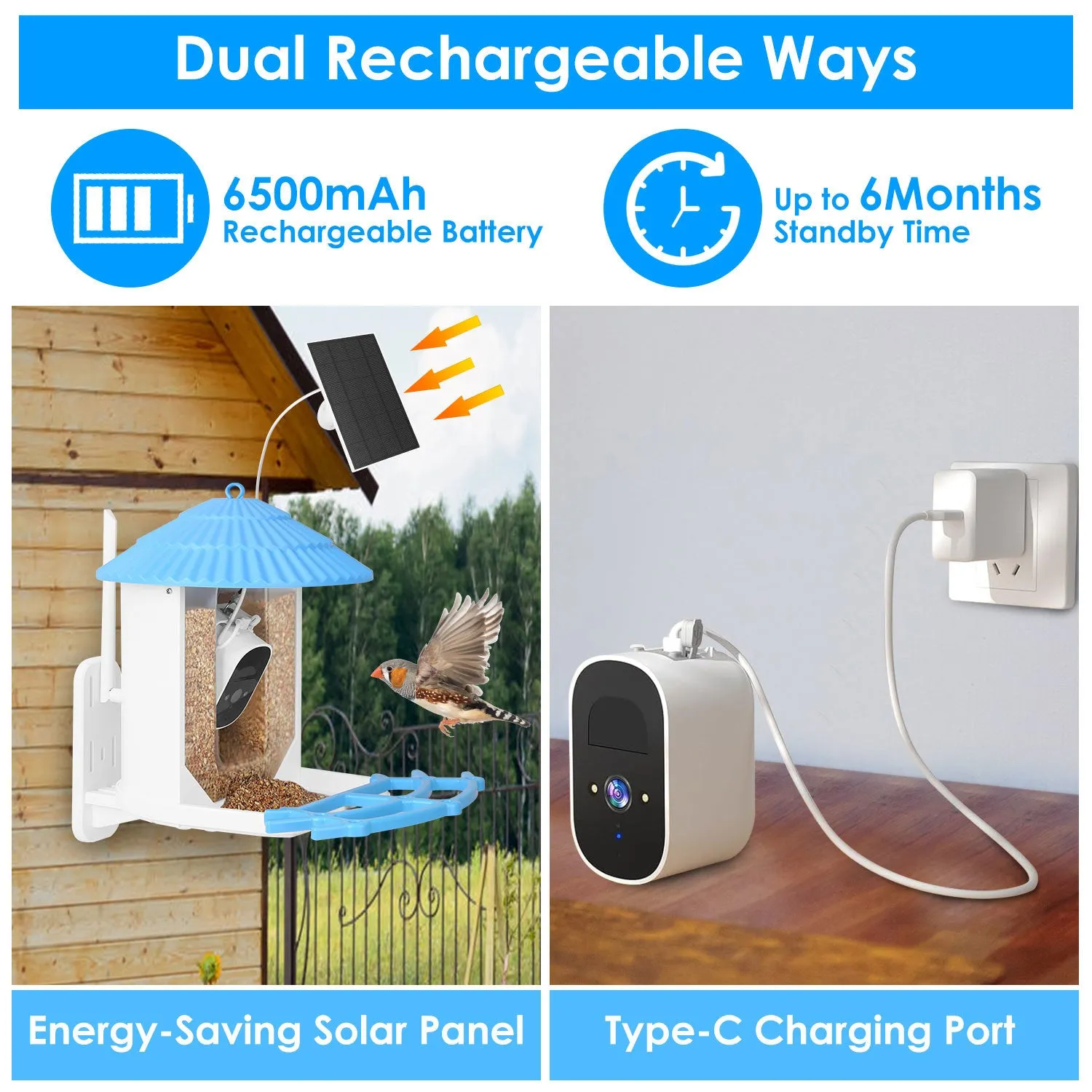 Premium Solar-Powered Smart Bird Feeder with 2K HD Bird Watching Camera, AI Bird Species Identification, PIR Motion Detection, Two-Way Audio, Real-Time App Notifications, Perfect Gift for Bird Lovers