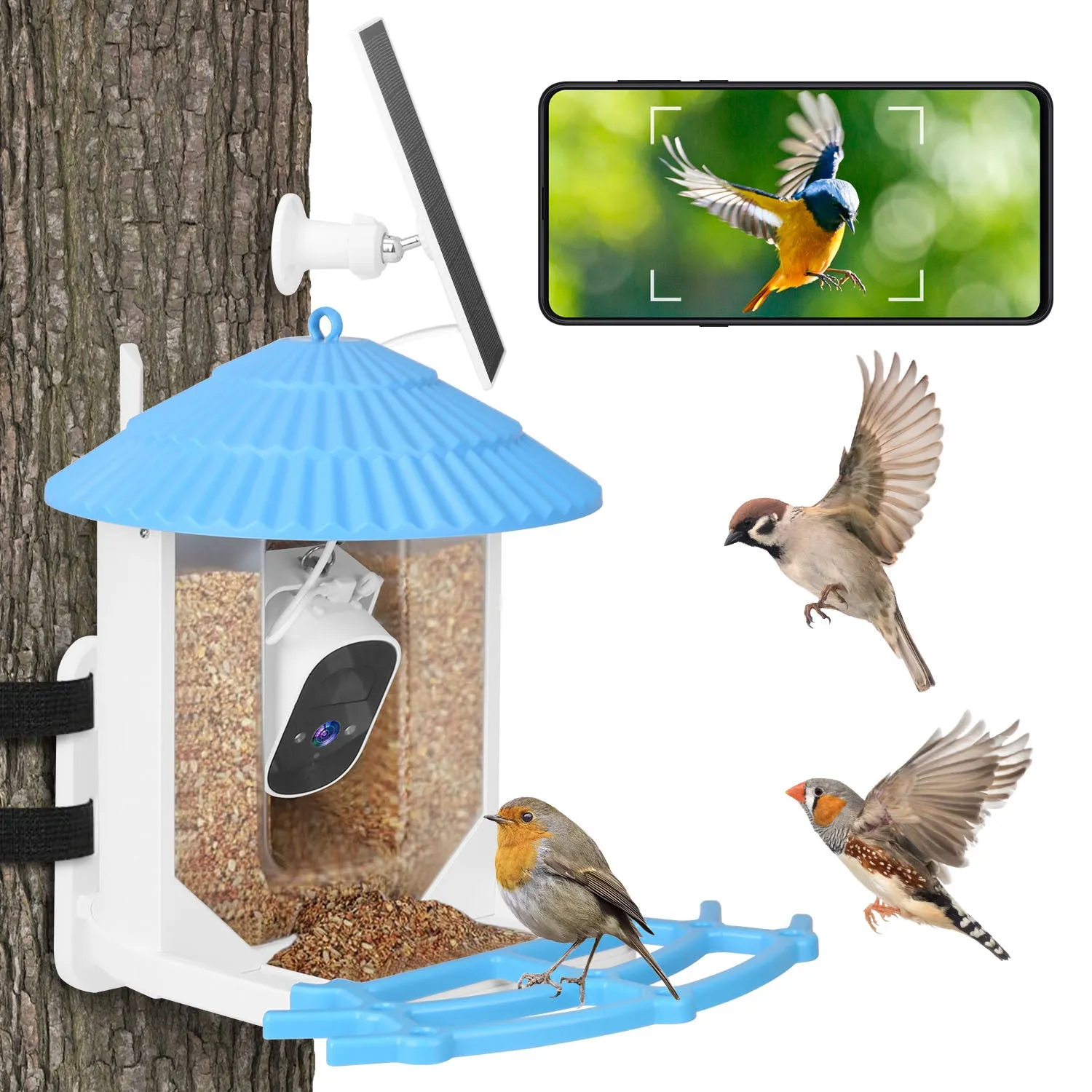 Premium Solar-Powered Smart Bird Feeder with 2K HD Bird Watching Camera, AI Bird Species Identification, PIR Motion Detection, Two-Way Audio, Real-Time App Notifications, Perfect Gift for Bird Lovers