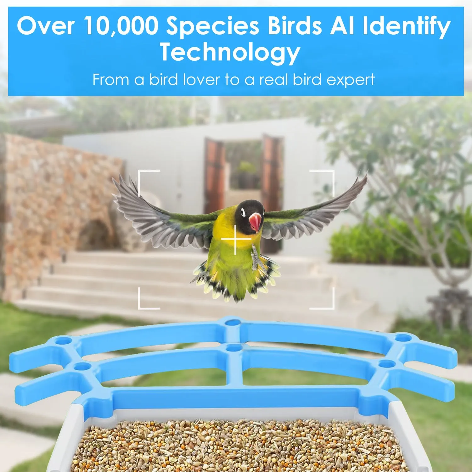 Premium Solar-Powered Smart Bird Feeder with 2K HD Bird Watching Camera, AI Bird Species Identification, PIR Motion Detection, Two-Way Audio, Real-Time App Notifications, Perfect Gift for Bird Lovers